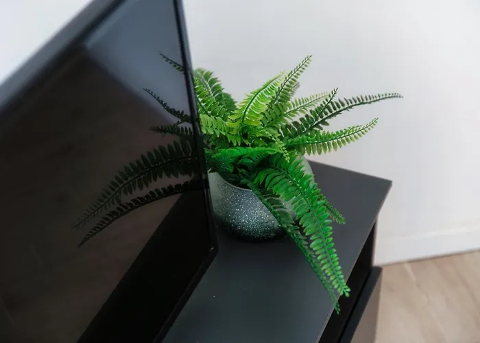 Acqua - By Myhomeincomo Lejlighed